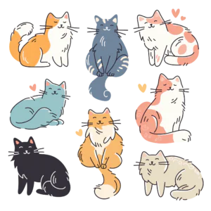 Cute Cats Clipart PNG Set – Fluffy Kitty Illustration Bundle, Whimsical Hand Drawn Cats Digital Graphics