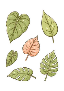 Botanical Leaves Sticker Sheet PNG – Tropical Monstera & Houseplant Leaves Printable Sticker Pack, Die Cut Plant Lover Decals PNG for Planners & Crafting