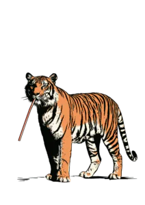 Cool Tiger with Straw Clipart PNG – Funny Retro Comic Book Tiger Illustration, Pop Art Wild Cat Sublimation Digital Graphic