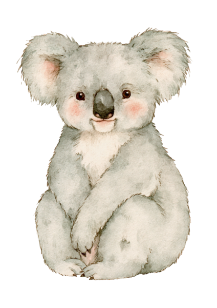 Cute Baby Koala Clipart PNG – Watercolor Australian Animal Illustration, Sweet Nursery Koala Bear Digital Graphic for Sublimation & Crafts Cute Baby Koala Clipart PNG – Watercolor Australian Animal Illustration, Sweet Nursery Koala Bear Digital Graphic for Sublimation & Crafts