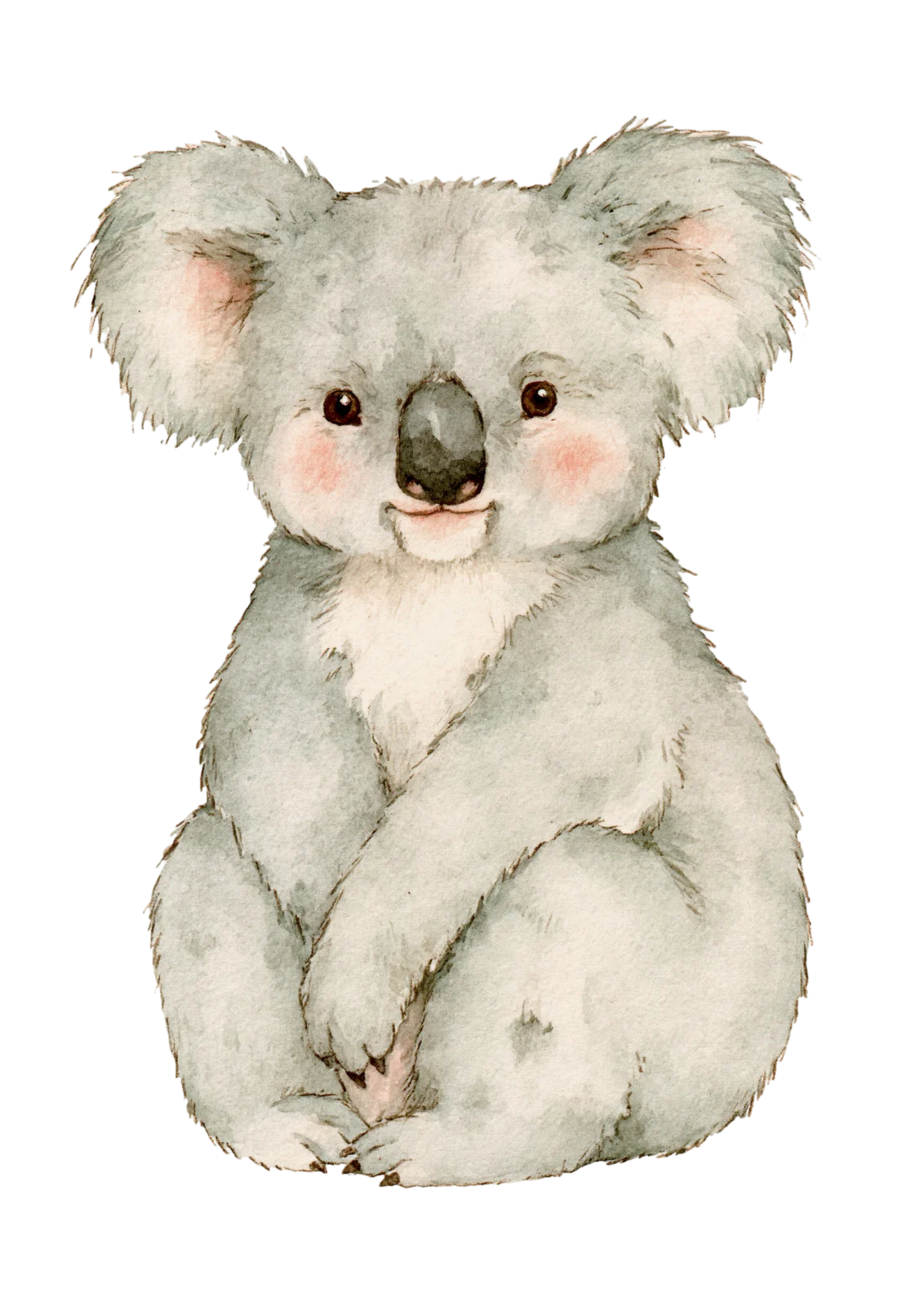 Cute Baby Koala Clipart PNG – Watercolor Australian Animal Illustration, Sweet Nursery Koala Bear Digital Graphic for Sublimation & Crafts