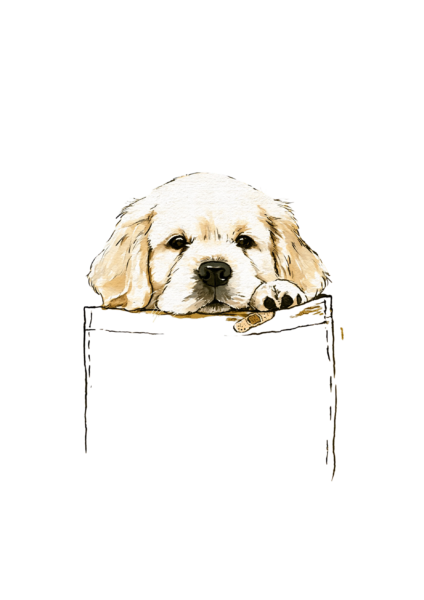 Pocket Golden Retriever Puppy Clipart PNG – Cute Peeking Dog in Pocket Graphic, Watercolor Puppy Shirt Design Digital PNG Pocket Golden Retriever Puppy Clipart PNG – Cute Peeking Dog in Pocket Graphic, Watercolor Puppy Shirt Design Digital PNG