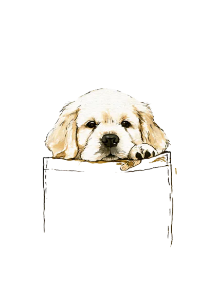 Pocket Golden Retriever Puppy Clipart PNG – Cute Peeking Dog in Pocket Graphic, Watercolor Puppy Shirt Design Digital PNG Pocket Golden Retriever Puppy Clipart PNG – Cute Peeking Dog in Pocket Graphic, Watercolor Puppy Shirt Design Digital PNG