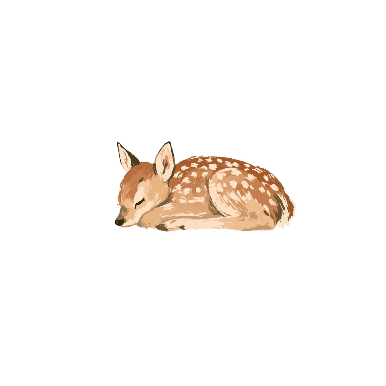 Sleeping Fawn Clipart PNG – Sweet Baby Deer Illustration, Cute Sleeping Woodland Animal Digital Graphic