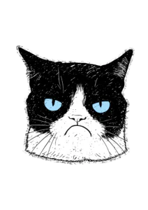Funny Grumpy Black Cat Sticker Printable – Sarcastic Moody Cat PNG Clipart & Laptop Decal