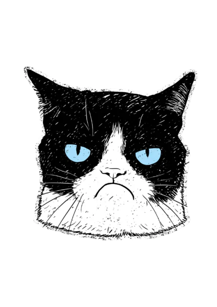 Funny Grumpy Black Cat Sticker Printable – Sarcastic Moody Cat PNG Clipart & Laptop Decal
