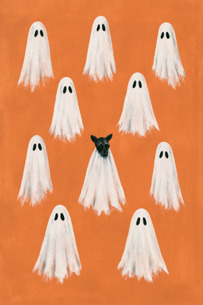 Funny Ghost Racoon Printable Wall Art – Cute Halloween Racoon in Sheet Costume Poster & Spooky Season Decor