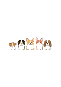 Cute Peeking Dogs Clipart PNG Set – Kawaii Puppy Breeds Corgi & Cavalier Illustration, Sweet Pet Lovers Digital Graphics Bundle