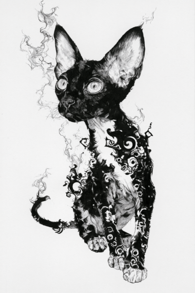 Mystical Black Cat Printable Wall Art – Ink & Tribal Tattoo Style Sphynx Devon Rex Cat Illustration Poster, Gothic Dark Academia Decor