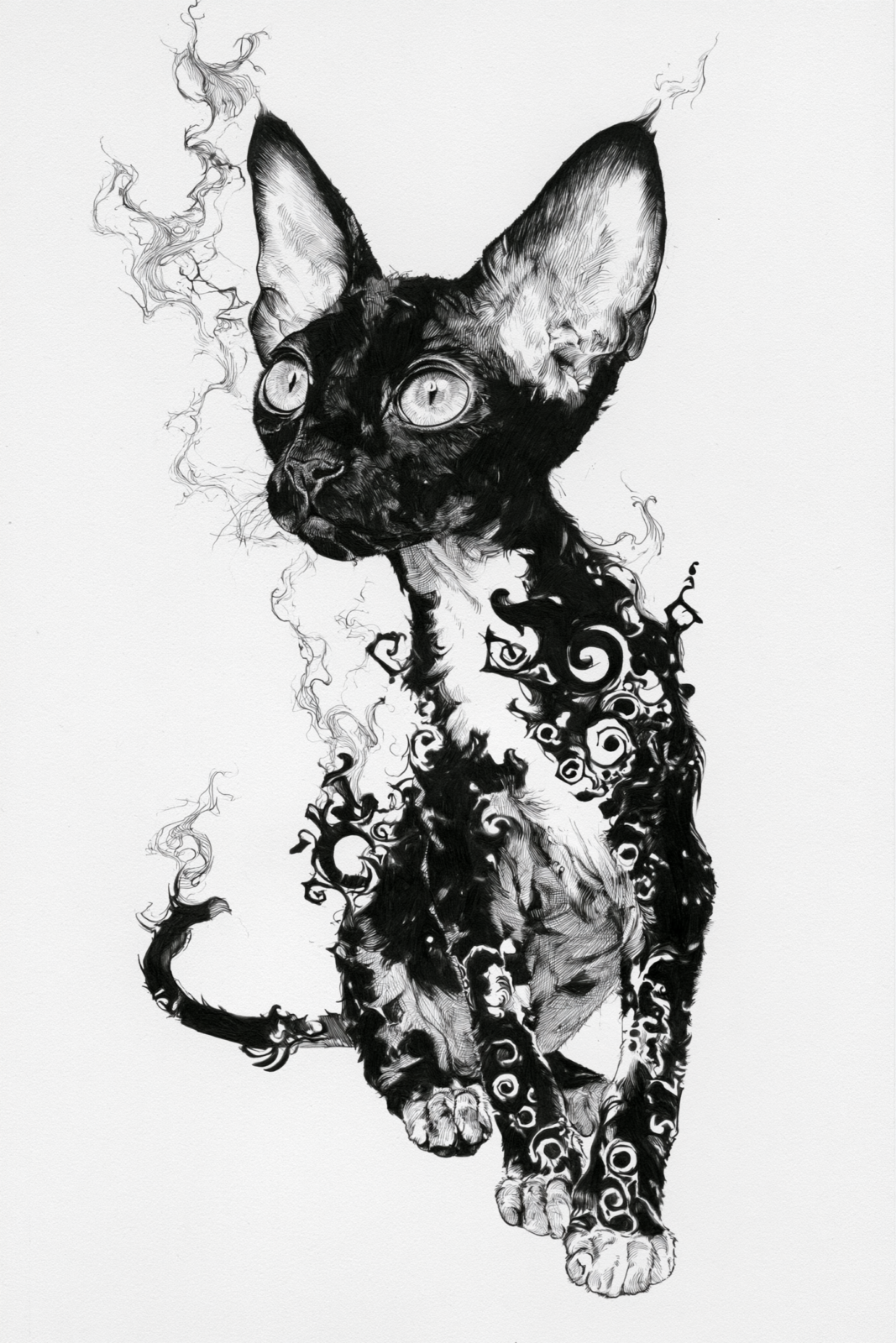 Mystical Black Cat Printable Wall Art – Ink & Tribal Tattoo Style Devon Rex Cat Illustration Poster, Gothic Dark Academia Decor Mystical Black Cat Printable Wall Art – Ink & Tribal Tattoo Style Devon Rex Cat Illustration Poster, Gothic Dark Academia Decor