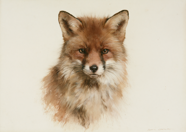 Vintage Fox Portrait Printable Wall Art – Realistic Wildlife Painting & Rustic Cottagecore Nature Poster