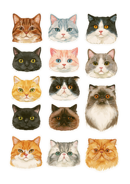 Cute Watercolor Cat Faces Printable Sticker Sheet – Digital Cat Breeds PNG Clipart Set, Ginger Black Persian Cat Decals for Planner & Scrapbooking Cute Watercolor Cat Faces Printable Sticker Sheet – Digital Cat Breeds PNG Clipart Set, Ginger Black Persian Cat Decals for Planner & Scrapbooking