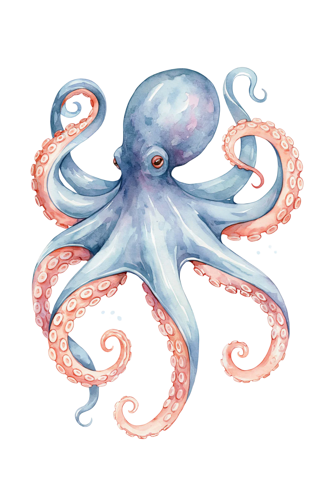Watercolor Octopus Clipart PNG – Blue & Coral Sea Creature Illustration, Nautical Ocean Animal Sublimation Digital Graphic Watercolor Octopus Clipart PNG – Blue & Coral Sea Creature Illustration, Nautical Ocean Animal Sublimation Digital Graphic