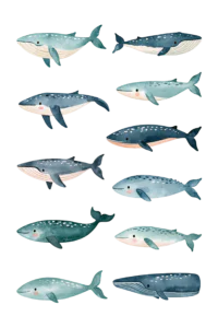 Cute Watercolor Whale Clipart PNG Set – Blue Ocean Sea Life Graphics, Nautical Nursery Whale Illustration Bundle Cute Watercolor Whale Clipart PNG Set – Blue Ocean Sea Life Graphics, Nautical Nursery Whale Illustration Bundle