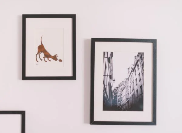 Transform your blank walls with a beautiful DIY gallery wall. Discover budget-friendly layout tips, framing hacks, and how to mix free printables style for a premium look